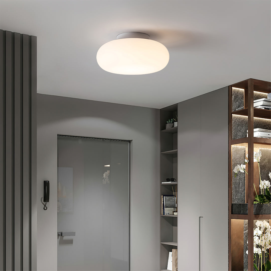 Ceiling Light Metal LED 7.9 in White Indoor Modern Living Room Bedroom Fixture | Thomler