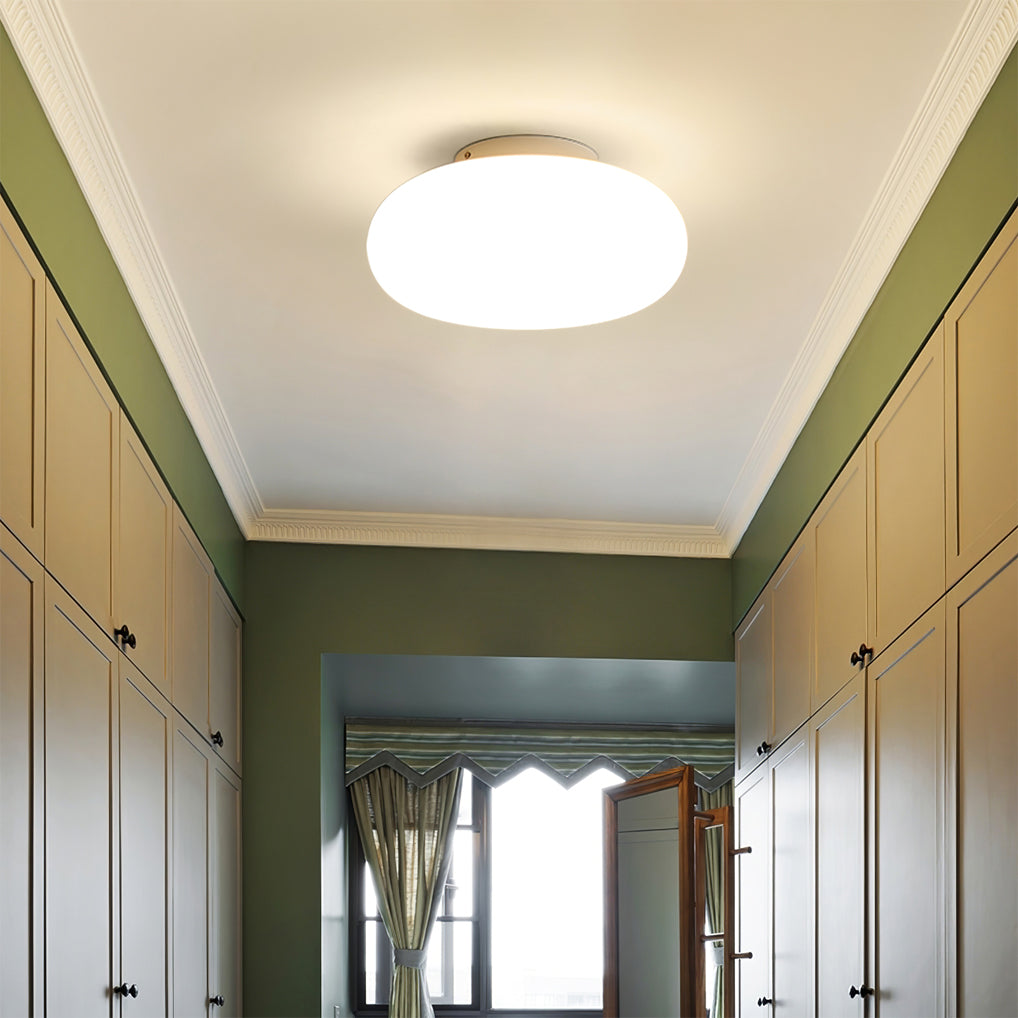 Ceiling Light Metal LED 7.9 in White Indoor Modern Living Room Bedroom Fixture | Thomler