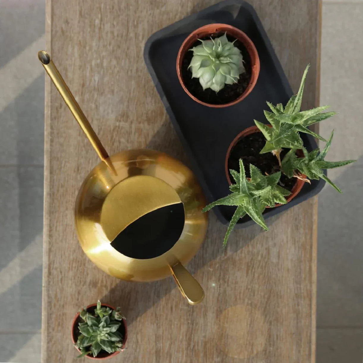 Watering Can Stainless Steel 11 in Indoor Plant Care Precise Pouring Home Garden Tool Durable Minimalist Design | Thomler