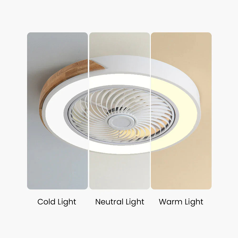 Ceiling Fan Solid Wood 20 in LED Light Indoor Living Room Bedroom Remote Control | Thomler