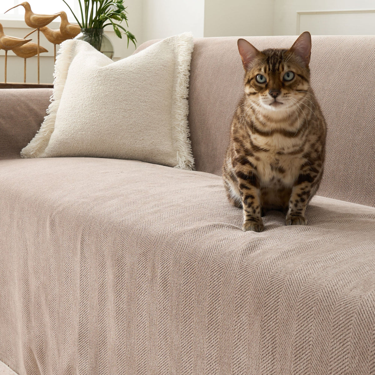 Textured Furniture Throw Blanket for Couches – Scratch-Resistant & Machine Washable | Thomler