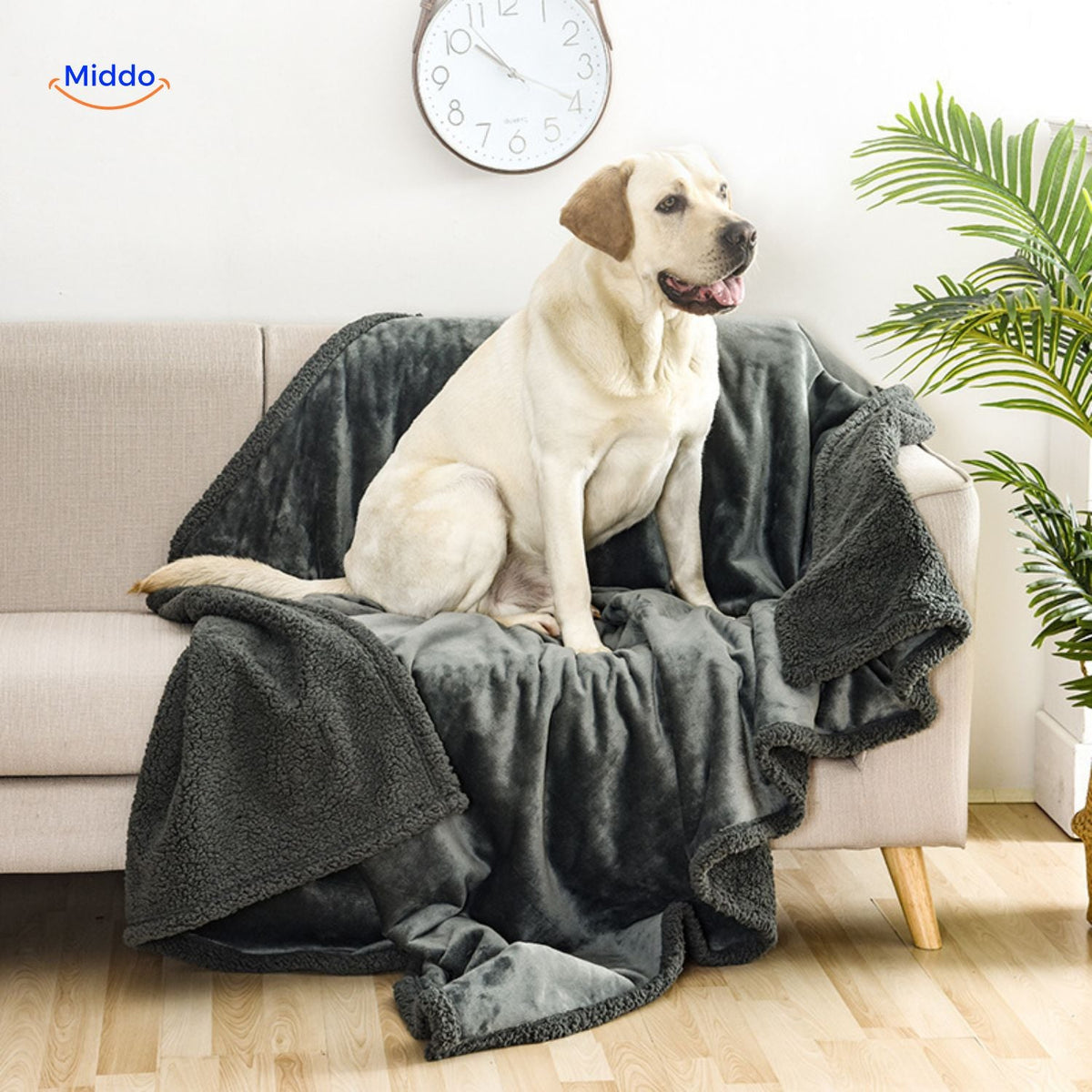 Waterproof Intimacy Blanket – Plush Velour Cotton Protection for Bed & Sofa | Thomler