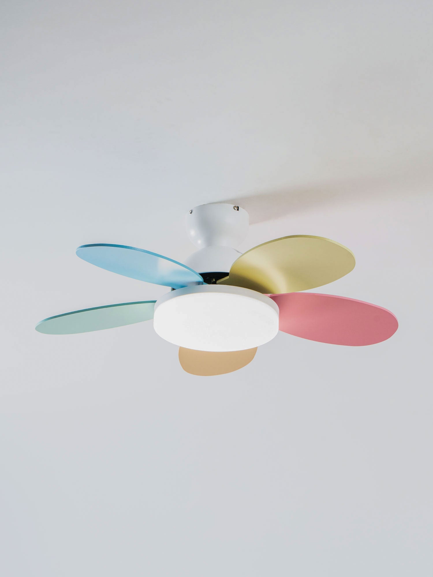 Ceiling Fan Light 35.4 in Wood Blades Grey Indoor Living Room Modern LED Lighting | Thomler
