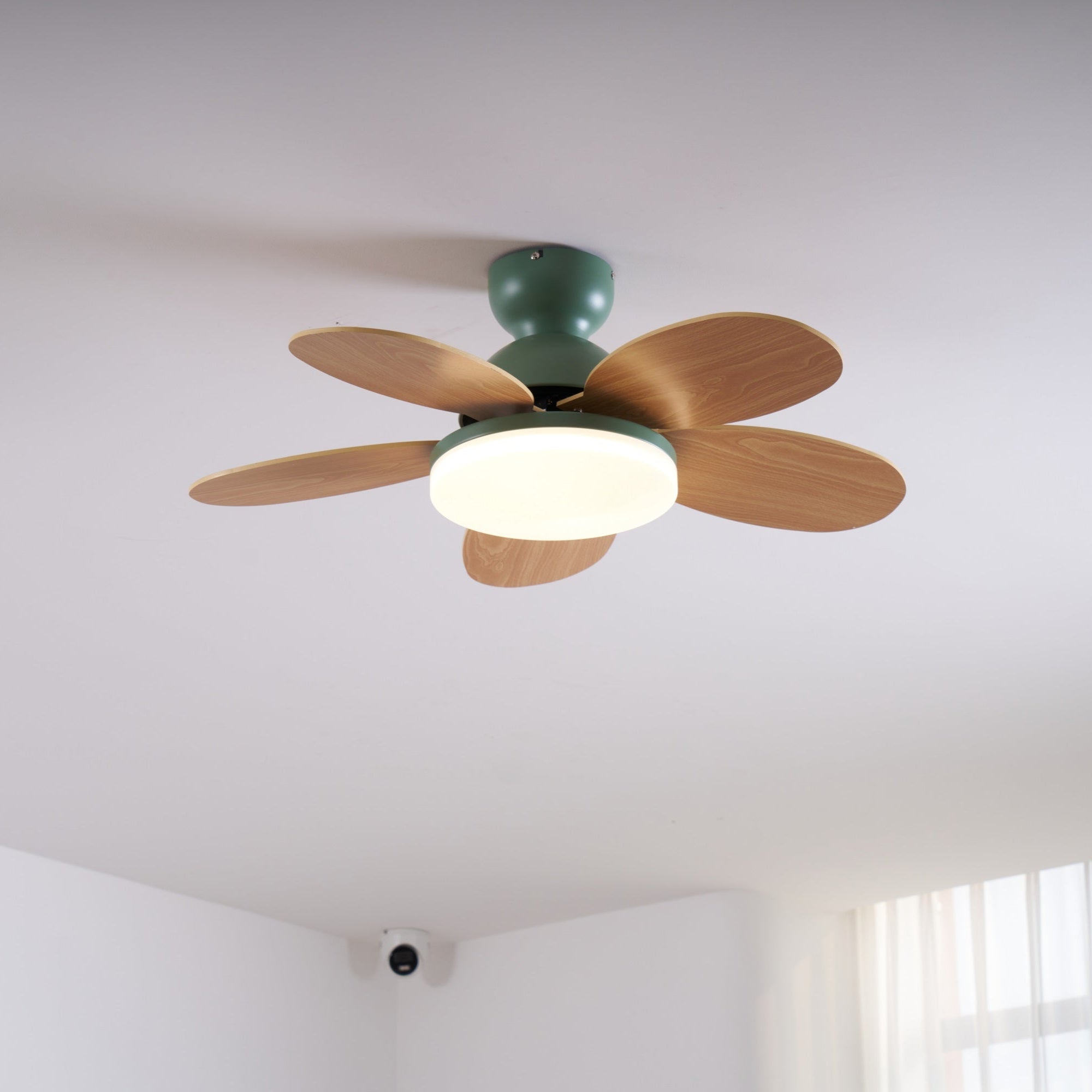 Ceiling Fan Light 35.4 in Wood Blades Grey Indoor Living Room Modern LED Lighting | Thomler