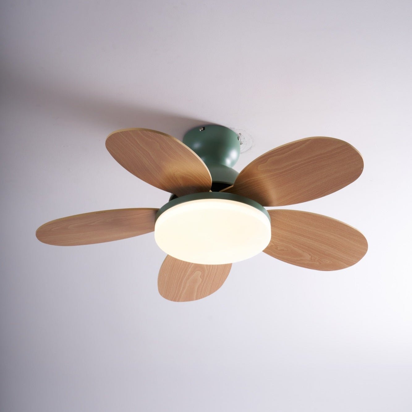 Ceiling Fan Light 35.4 in Wood Blades Grey Indoor Living Room Modern LED Lighting | Thomler