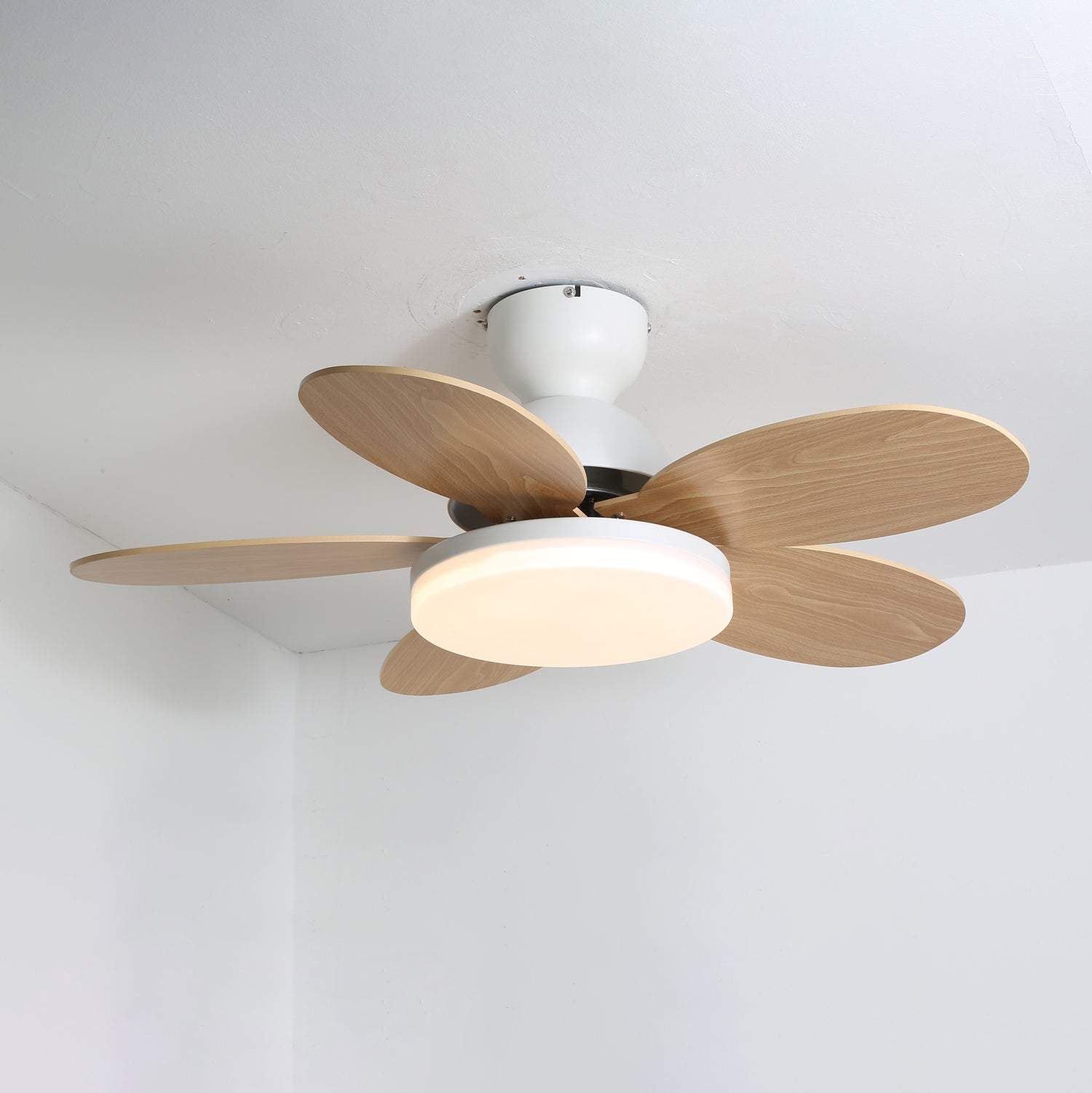 Ceiling Fan Light 35.4 in Wood Blades Grey Indoor Living Room Modern LED Lighting | Thomler