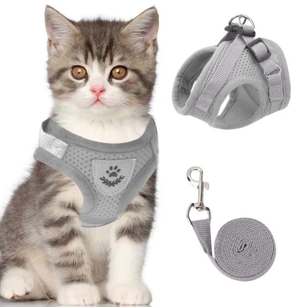 Breathable Cat Harness with Reflective Strip & Leash – Adjustable, Escape-Proof Design for Safe Outdoor Walks | Thomler