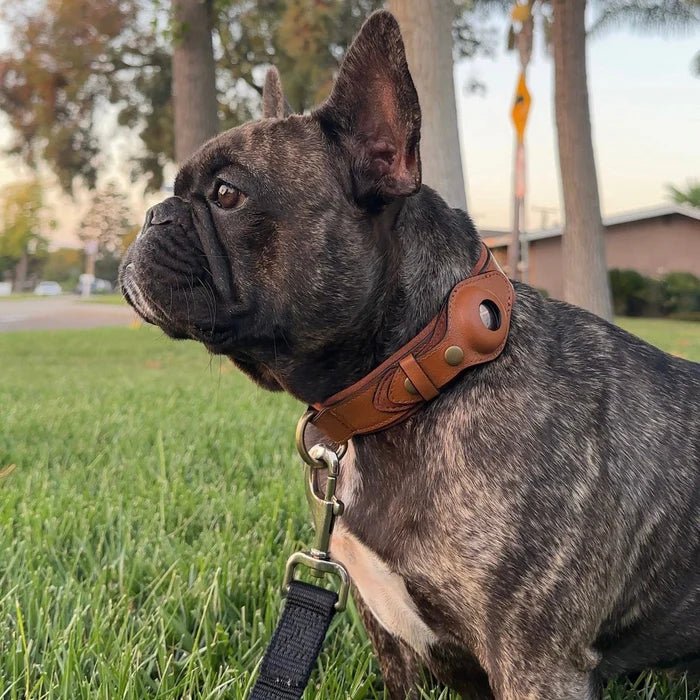 GPS Tracker Dog Collar with Adjustable Microfiber Strap – Waterproof Pet Safety Collar for Daily Walks and Outdoor Adventures | Thomler