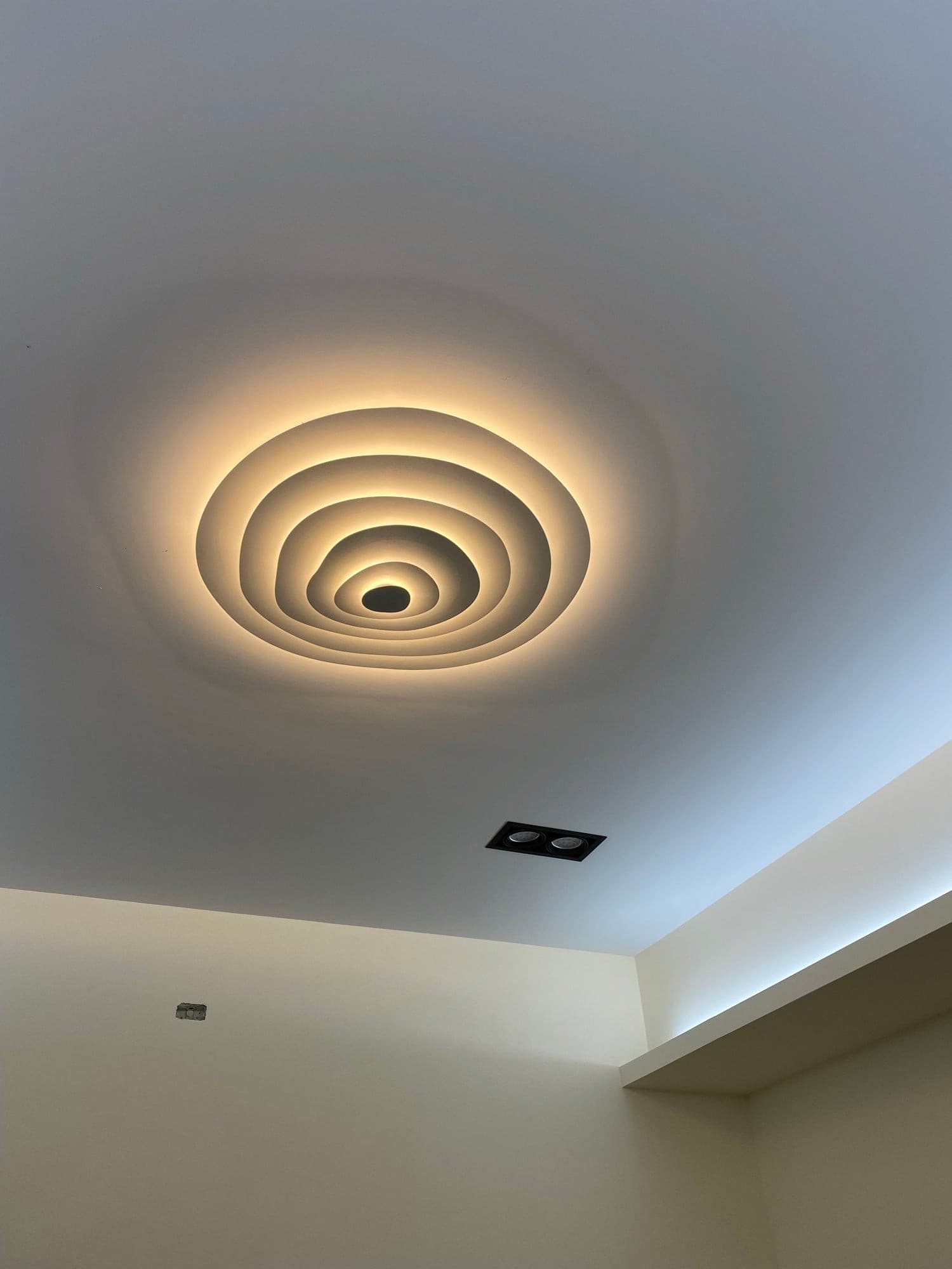 Ceiling Light Metal LED 18.5 in White Living Room Dining Modern Flush Mount Fixture Wide Panel Lighting | Thomler