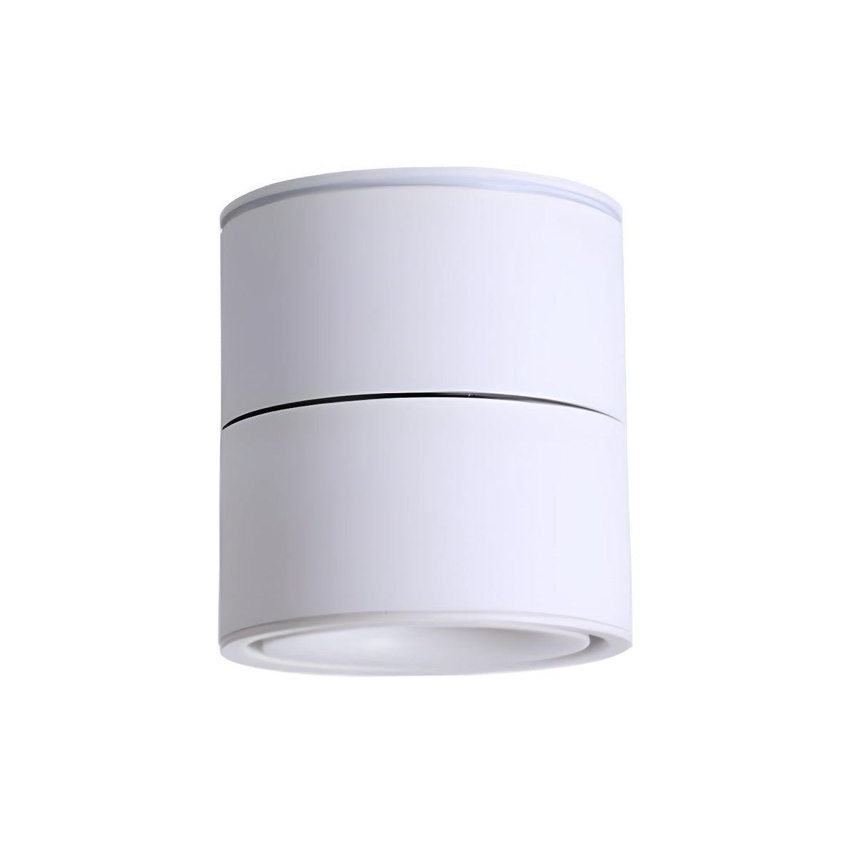 Pivoting LED Overhead Accent Fixture Metal Contemporary Design for Living Room | Thomler