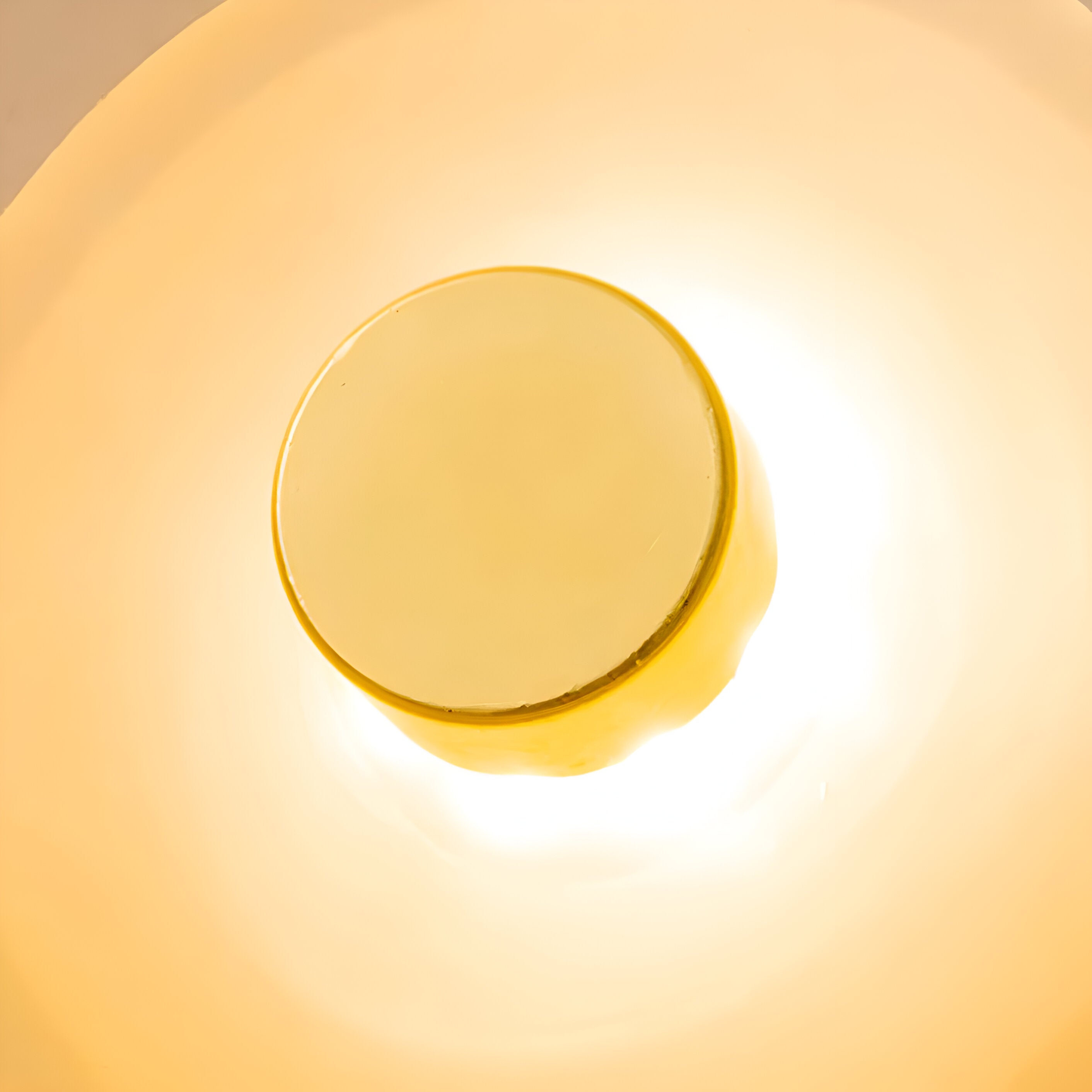 Wall Lamp Glass 25.0 cm Warm White LED Bedroom Living Room Up Down Light Modern Nordic Sconce | Thomler