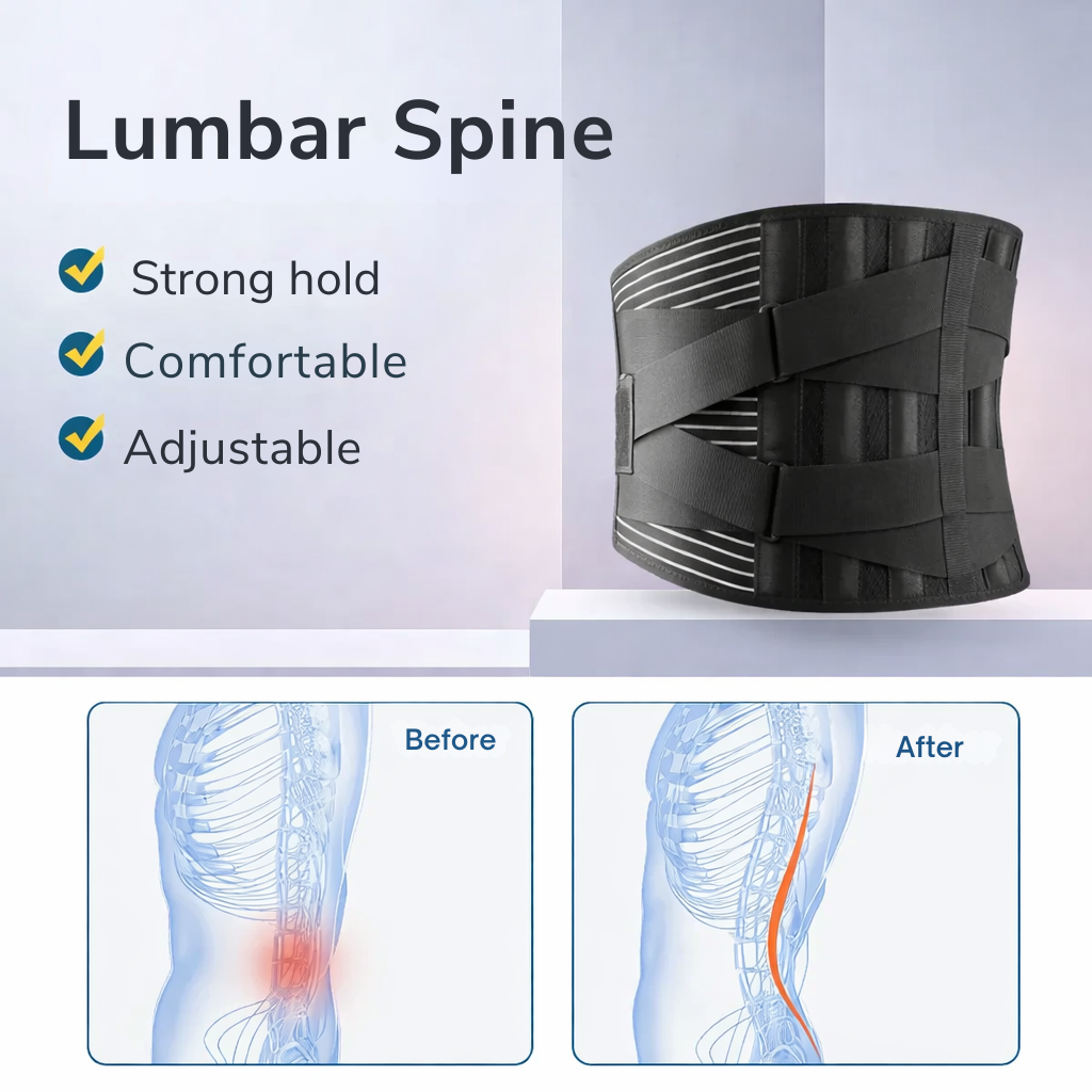 Lumbar Support Belt with 360-Degree Stabilization for Lower Back Pain Relief, Sciatica & Posture Correction | Adjustable Compression Brace w | Thomler