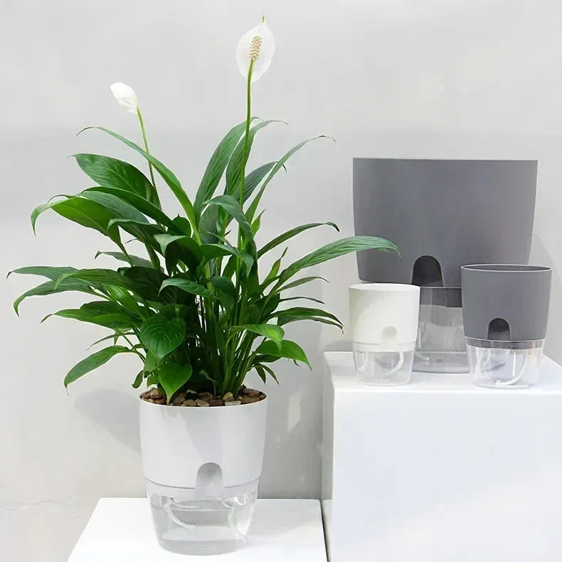 Self-Watering Planter AS Plastic 23.5 cm Height Indoor Plants Automatic Water Absorption Grey White | Thomler