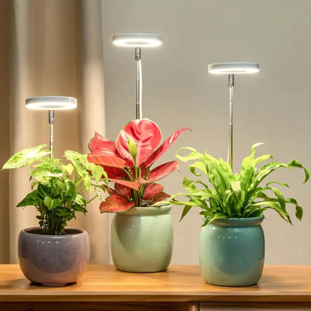 Adjustable Full-Spectrum Indoor Plant Grow Light with USB Power Stand | Thomler