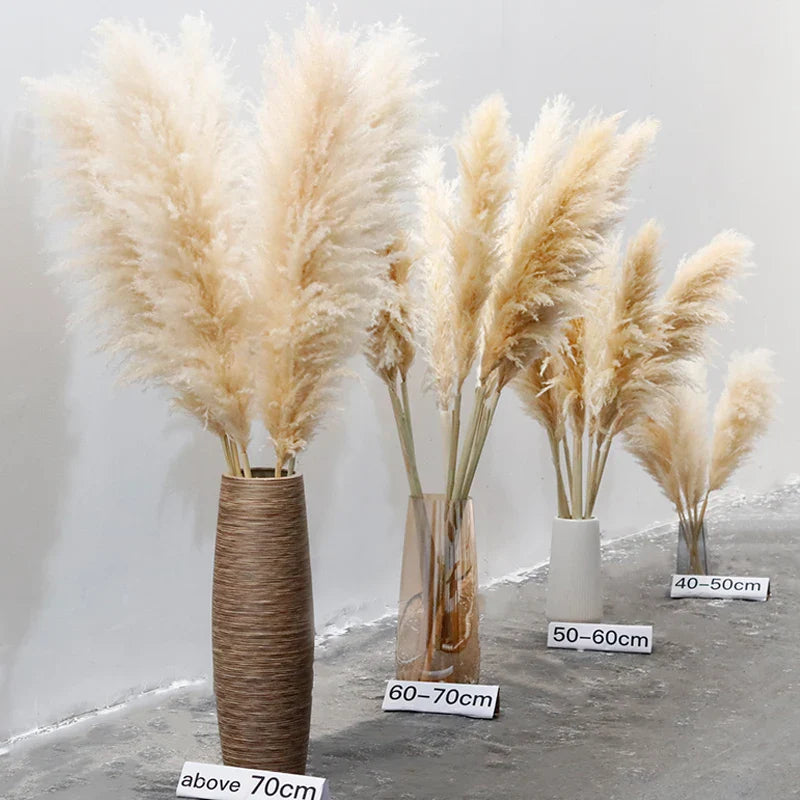 Decorative Dried Grass Plumes 15.7–29.5 in Natural Home Wedding Vase Arrangement | Thomler