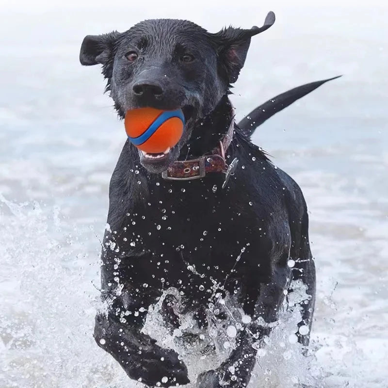 Rubber Bounce Ball Dog Toy for Fetch & Chew – Durable Interactive Play Sphere for Puppies & Adult Dogs, All Sizes – Outdoor Toss & | Thomler