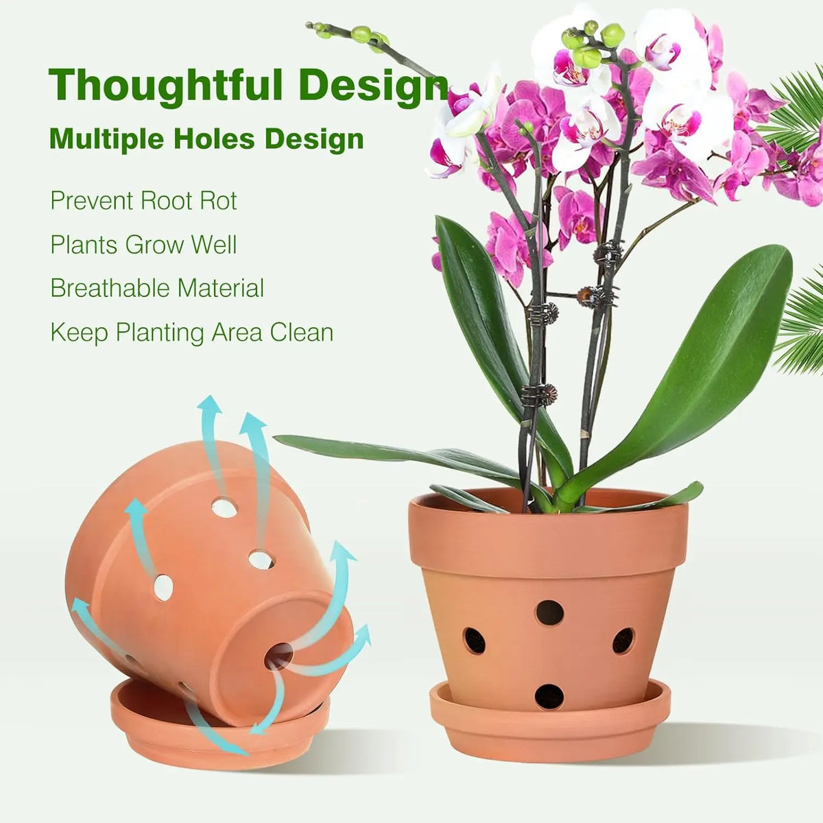 Clay Orchid Planters with Drainage Holes and Saucers – 6-Pack 4 Inch Breathable Ceramic Pots for Repotting Indoor and Outdoor Plants | Thomler