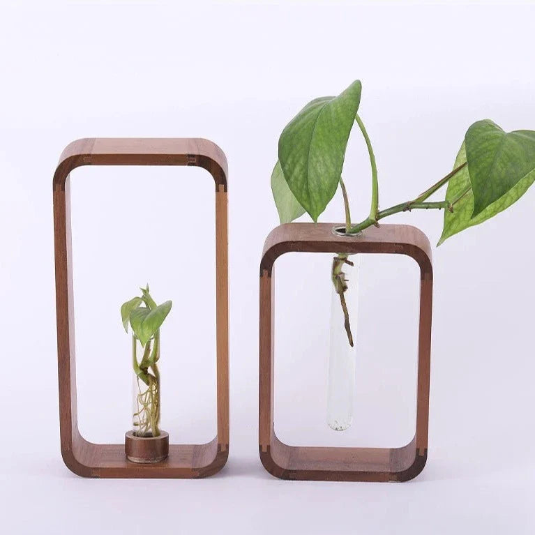 Plant Propagator Glass and Wood 10 in Indoor Gardening Medium Large Hydroponic Vase | Thomler