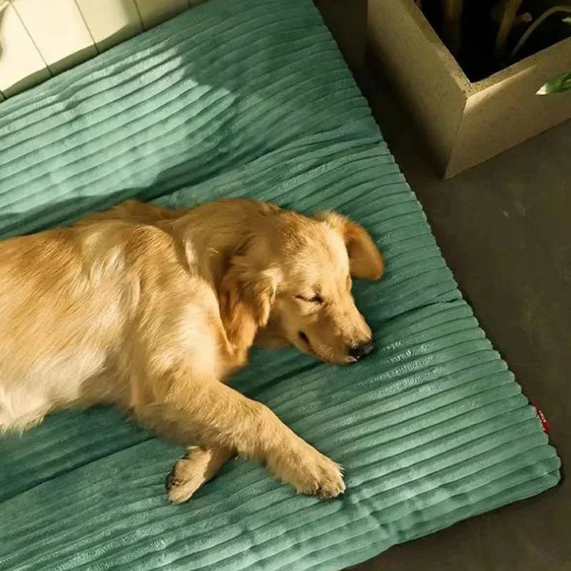 Dog Cushion Plush Orthopaedic Foam Soft Indoor Pet Bed Warm Sleeping Mat For Puppies Senior Dogs | Thomler