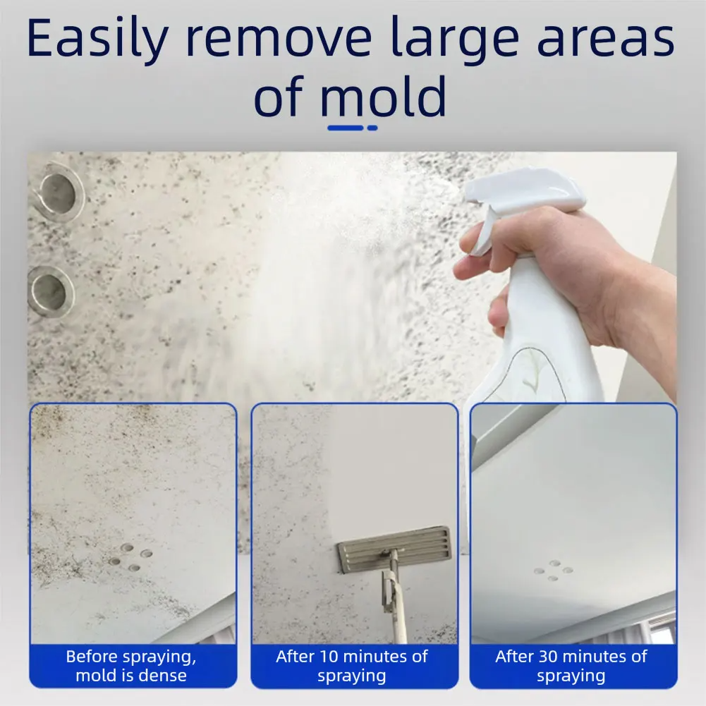 Deep-Action Wall & Surface Cleaner Spray for Stubborn Growth | Thomler
