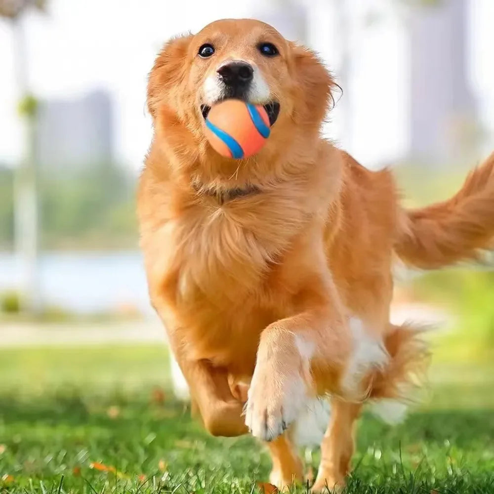 Rubber Bounce Ball Dog Toy for Fetch & Chew – Durable Interactive Play Sphere for Puppies & Adult Dogs, All Sizes – Outdoor Toss & | Thomler