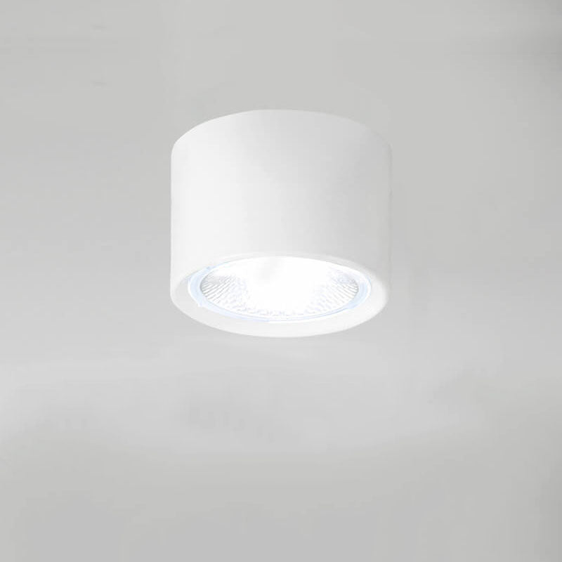 Adjustable Cylinder Spotlight – Surface Mount LED Ceiling Light – Directional Accent Fixture for Living Room, Hallway & Kitchen – Modern | Thomler