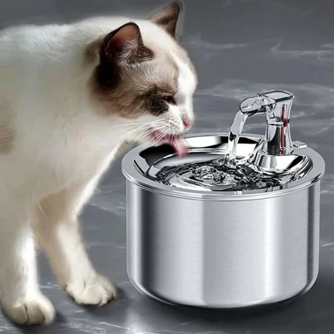 Motion-Activated Pet Water Fountain with 4-Stage Filtration for Cats & Dogs – Stainless Steel 68 oz Automatic Drinking Station | Thomler