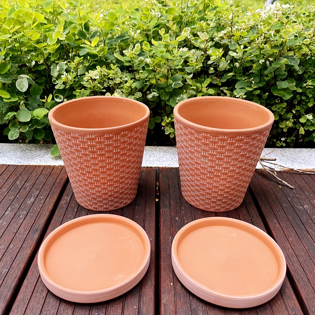 Textured Clay Planter Set with Saucers – 5 Inch Drainage Pots for Succulents, Herbs & Small Plants, Indoor Outdoor Use, 2-Pack | Thomler