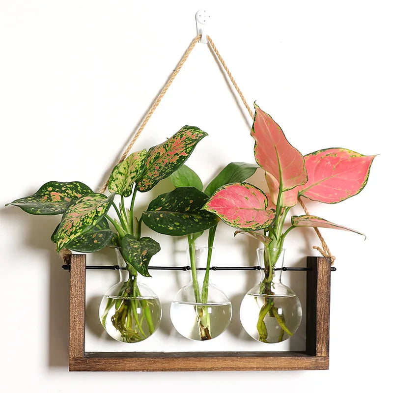 Plant Propagating Stand Natural Wood 11 in Indoor Gardening Glass Display Vintage Style | Thomler