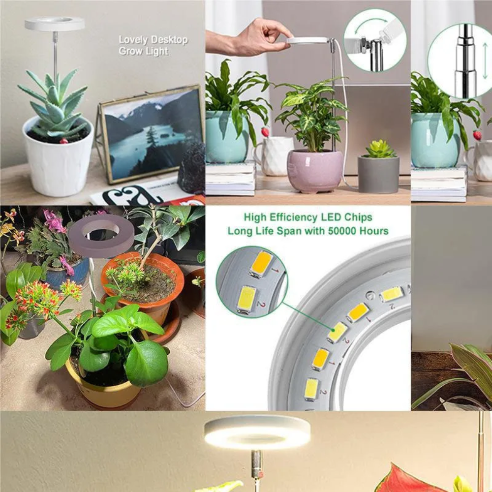 Adjustable Full-Spectrum Indoor Plant Grow Light with USB Power Stand | Thomler