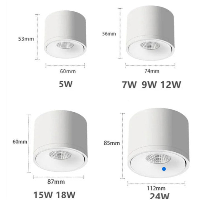 Adjustable Directional LED Ceiling Spotlight – Rotating Track Light for Accent Lighting | Thomler
