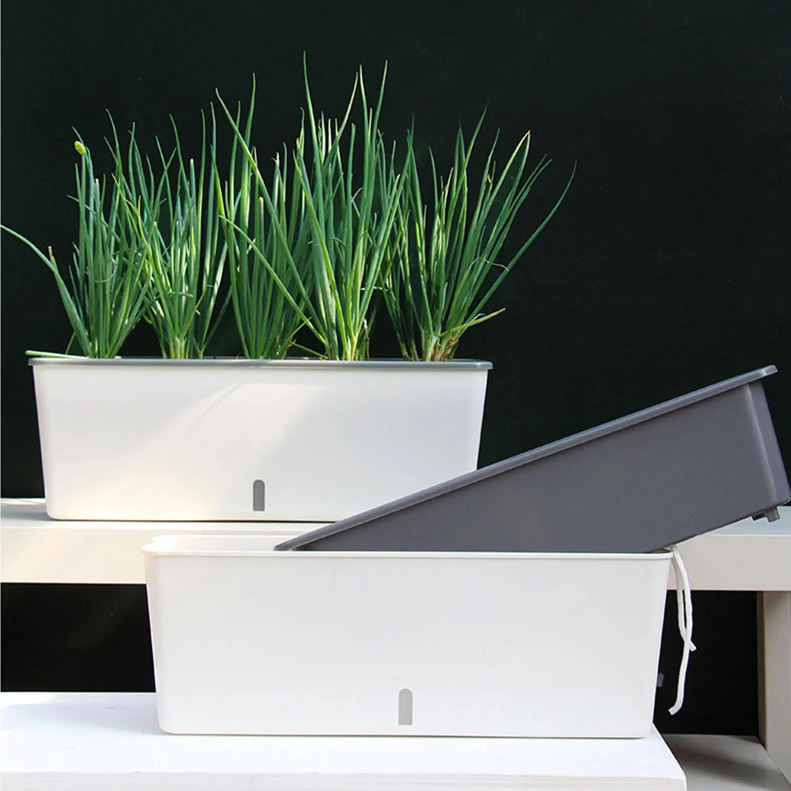 Planter Box PP Plastic 43.5 cm Self Watering Indoor Outdoor Herb Flower Windowsill Container With Water Level Indicator | Thomler