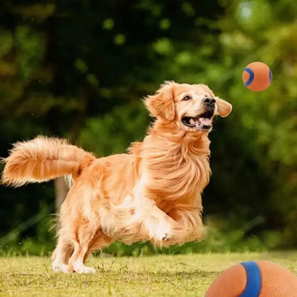 Rubber Bounce Ball Dog Toy for Fetch & Chew – Durable Interactive Play Sphere for Puppies & Adult Dogs, All Sizes – Outdoor Toss & | Thomler