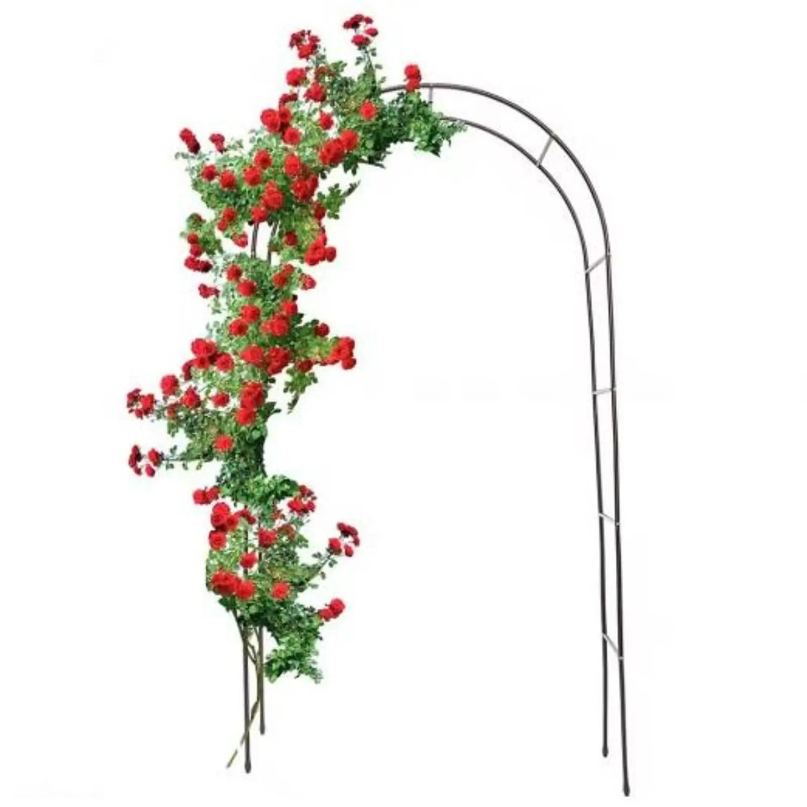 Garden Arch Iron 240.0 cm 94.5" Gothic Rose Climbing Plant Wedding Outdoor Patio Support Frame | Thomler