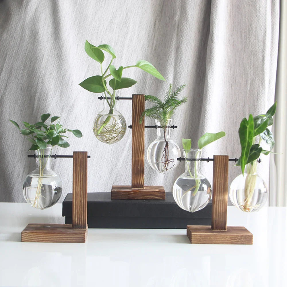 Glass Vase