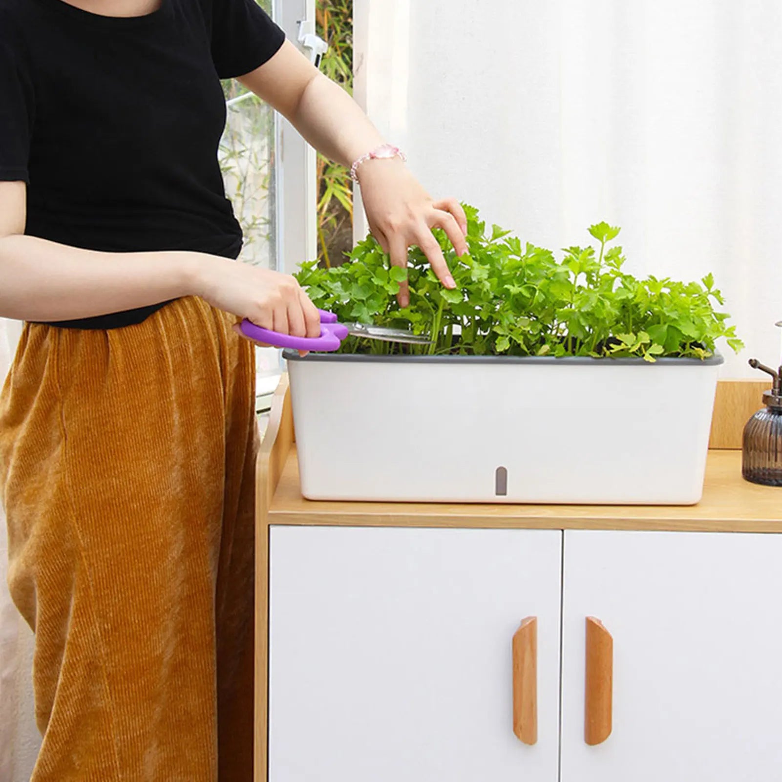 Planter Box PP Plastic 43.5 cm Self Watering Indoor Outdoor Herb Flower Windowsill Container With Water Level Indicator | Thomler