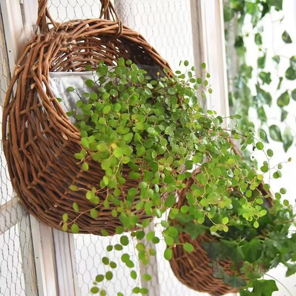 Wall Planter Basket Rattan 30.0 cm Natural Indoor Outdoor Hanging Flower Pot Holder Garden Balcony Decor | Thomler