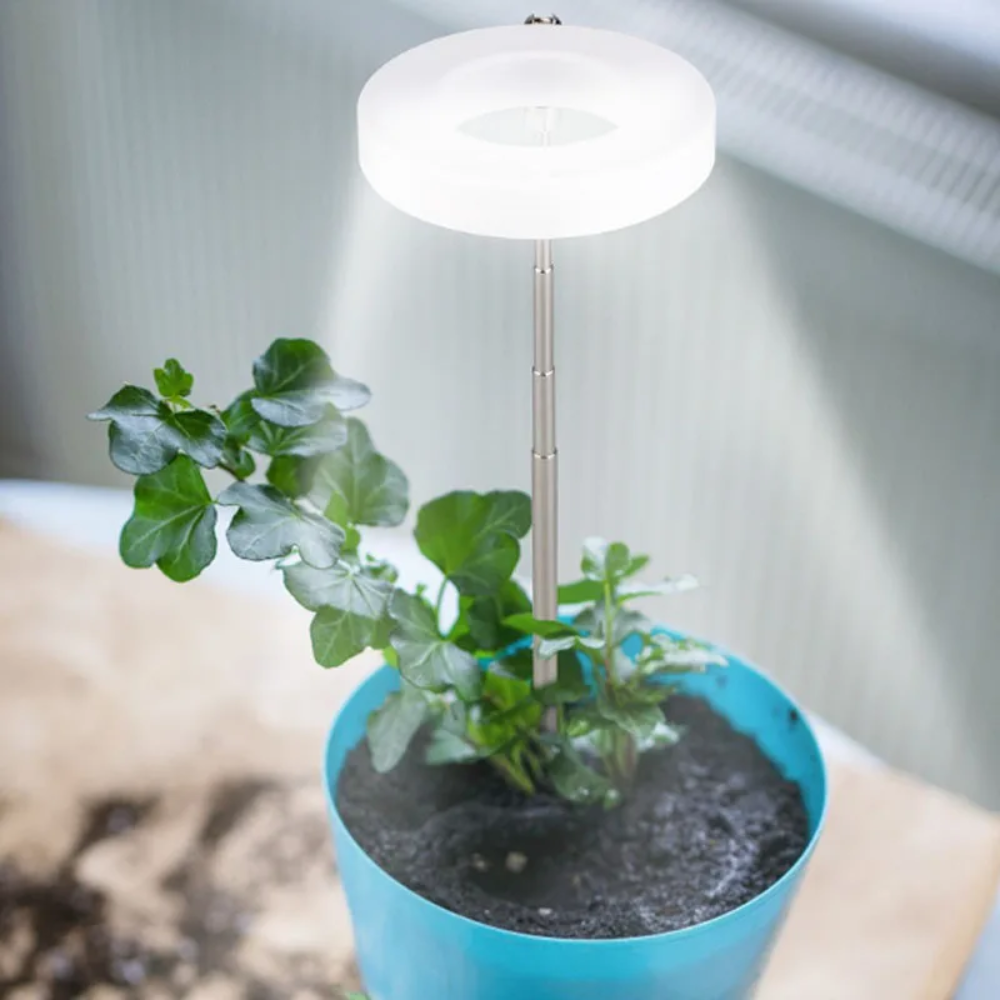 Adjustable Full-Spectrum Indoor Plant Grow Light with USB Power Stand | Thomler
