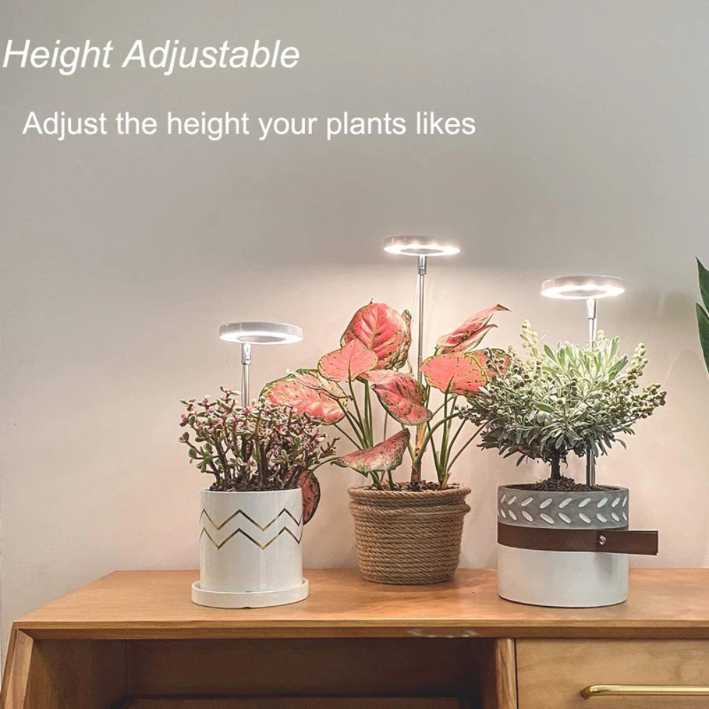 Adjustable Full-Spectrum Indoor Plant Grow Light with USB Power Stand | Thomler