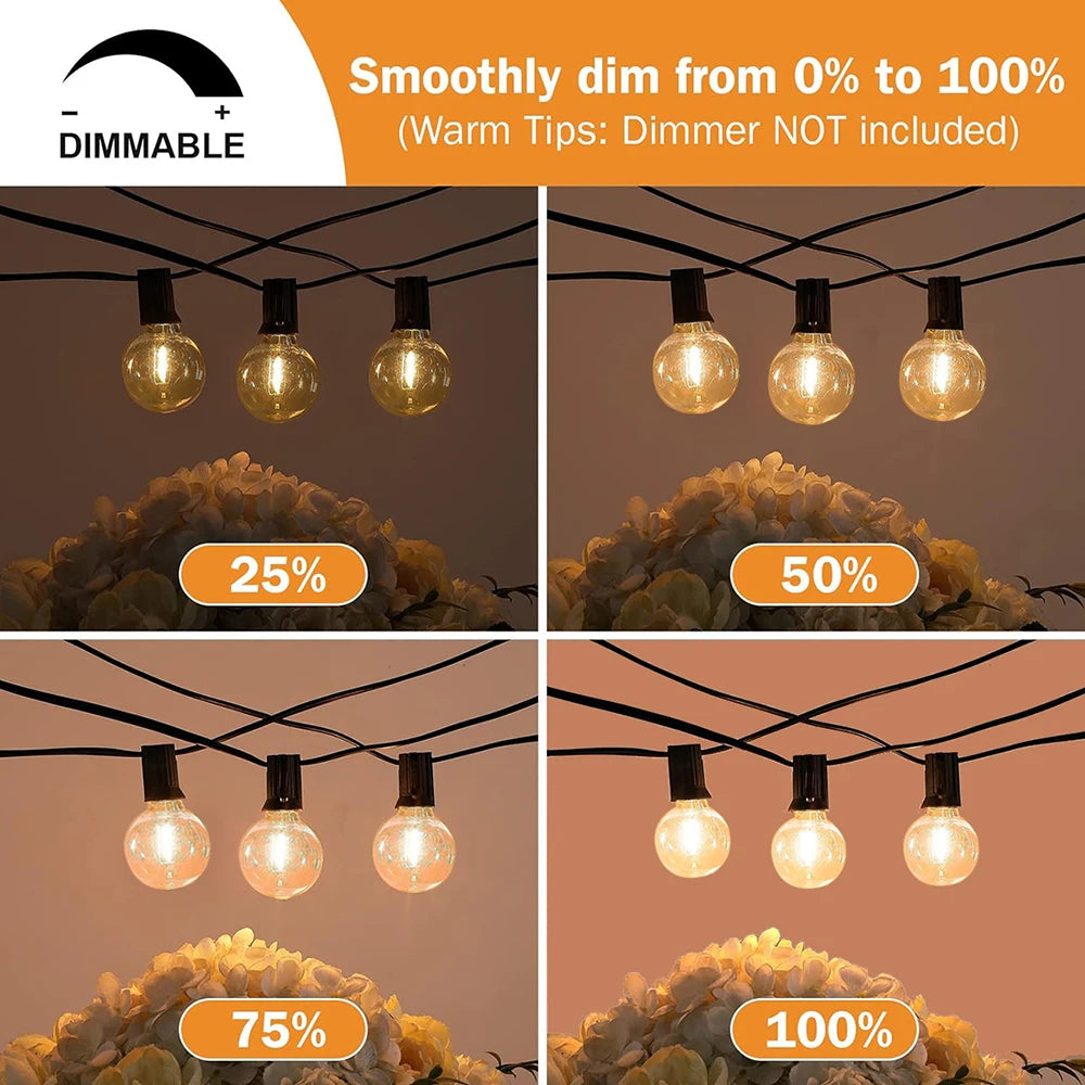 Outdoor Globe String Lights LED Warm White Festoon for Patio Garden Wedding Party Backyard Decorative Lighting | Thomler