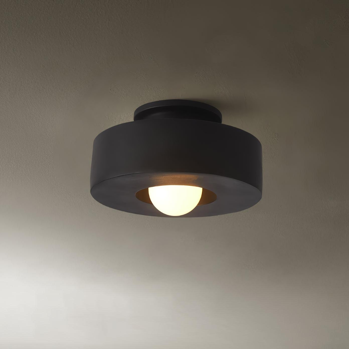 Resin Ceiling Light 11.8 in Red Green Black Indoor LED E26 E27 Modern Lighting Fixture | Thomler