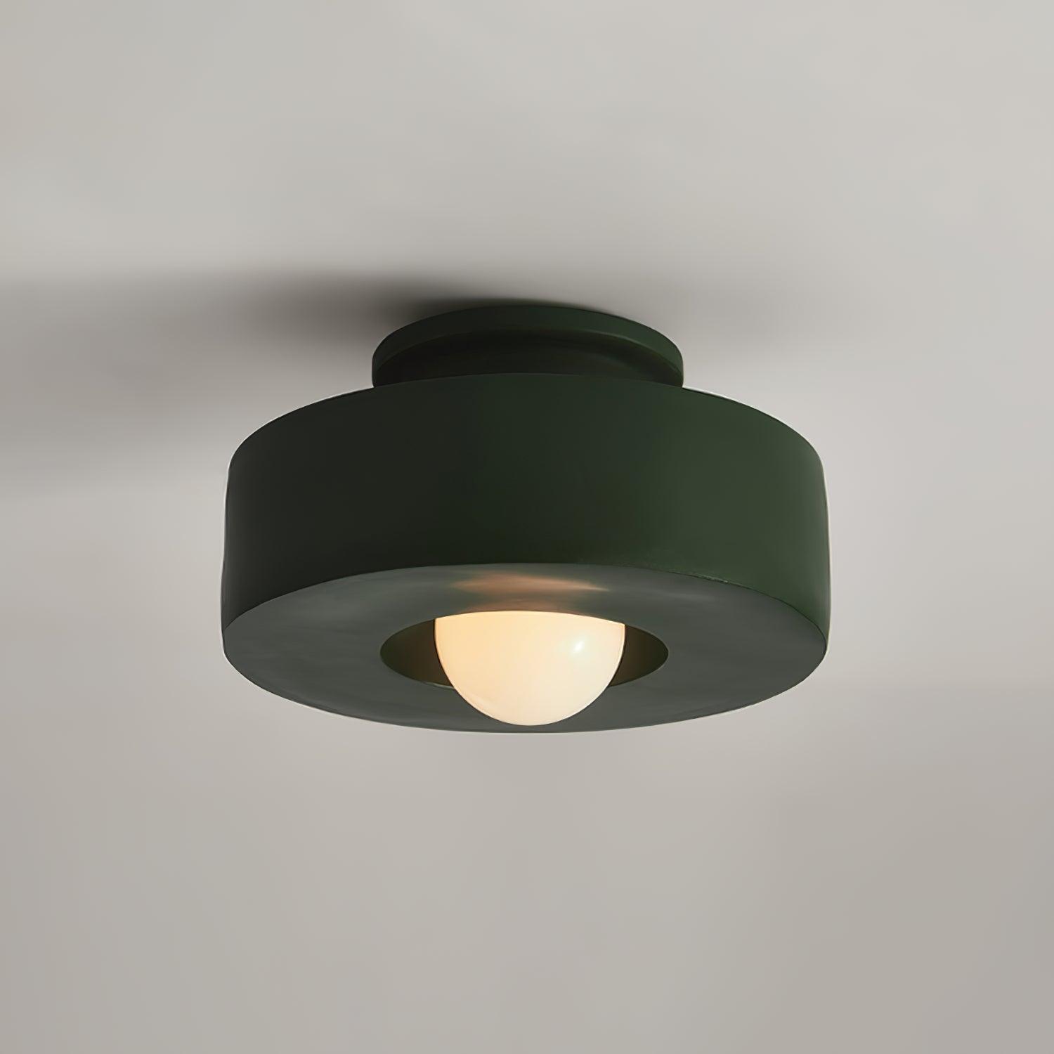 Resin Ceiling Light 11.8 in Red Green Black Indoor LED E26 E27 Modern Lighting Fixture | Thomler