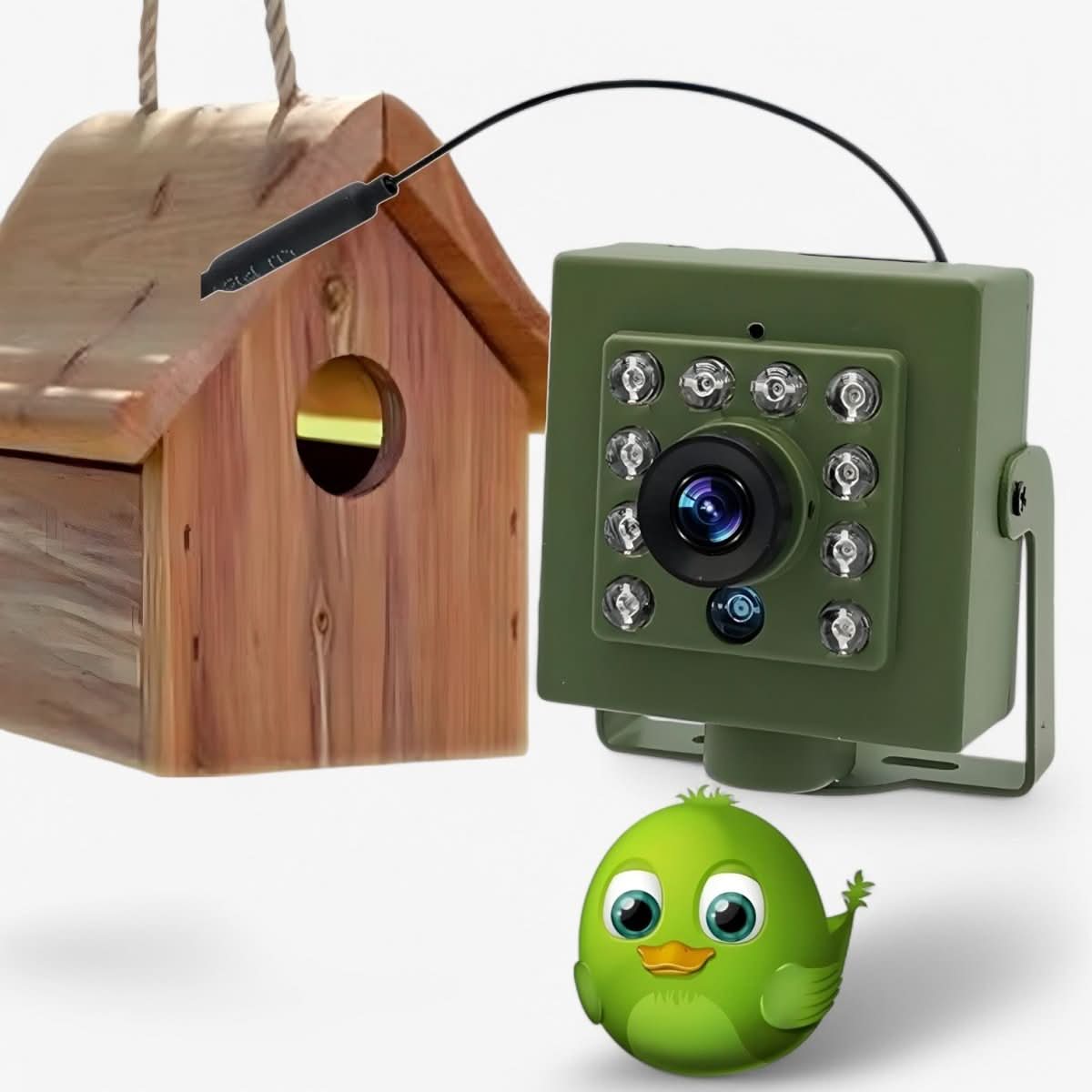 HD Bird Box Camera with Night Vision – 1080p Wildlife Monitoring for Nest Watching | Thomler