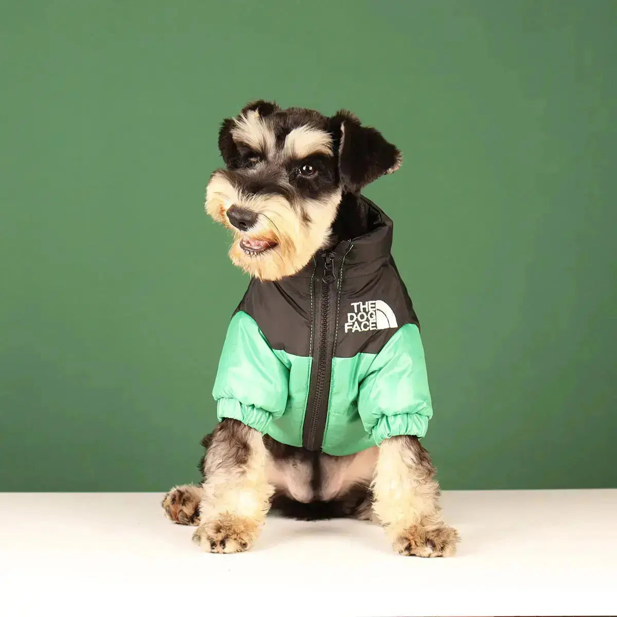 Insulated Windproof Dog Winter Coat with Soft Fleece Lining for Cold Weather Protection, Outdoor Walks & Active Play | Thomler