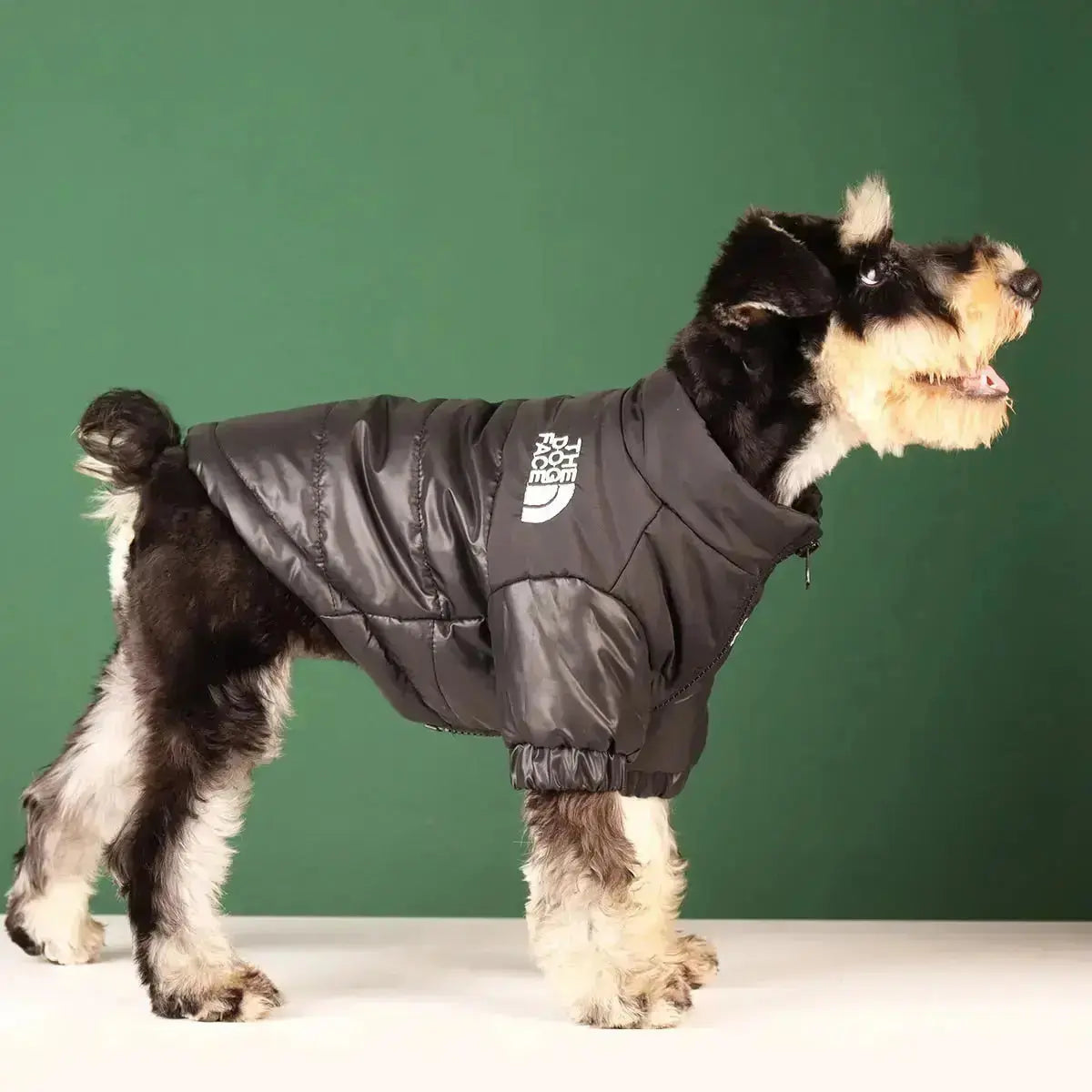 Insulated Windproof Dog Winter Coat with Soft Fleece Lining for Cold Weather Protection, Outdoor Walks & Active Play | Thomler