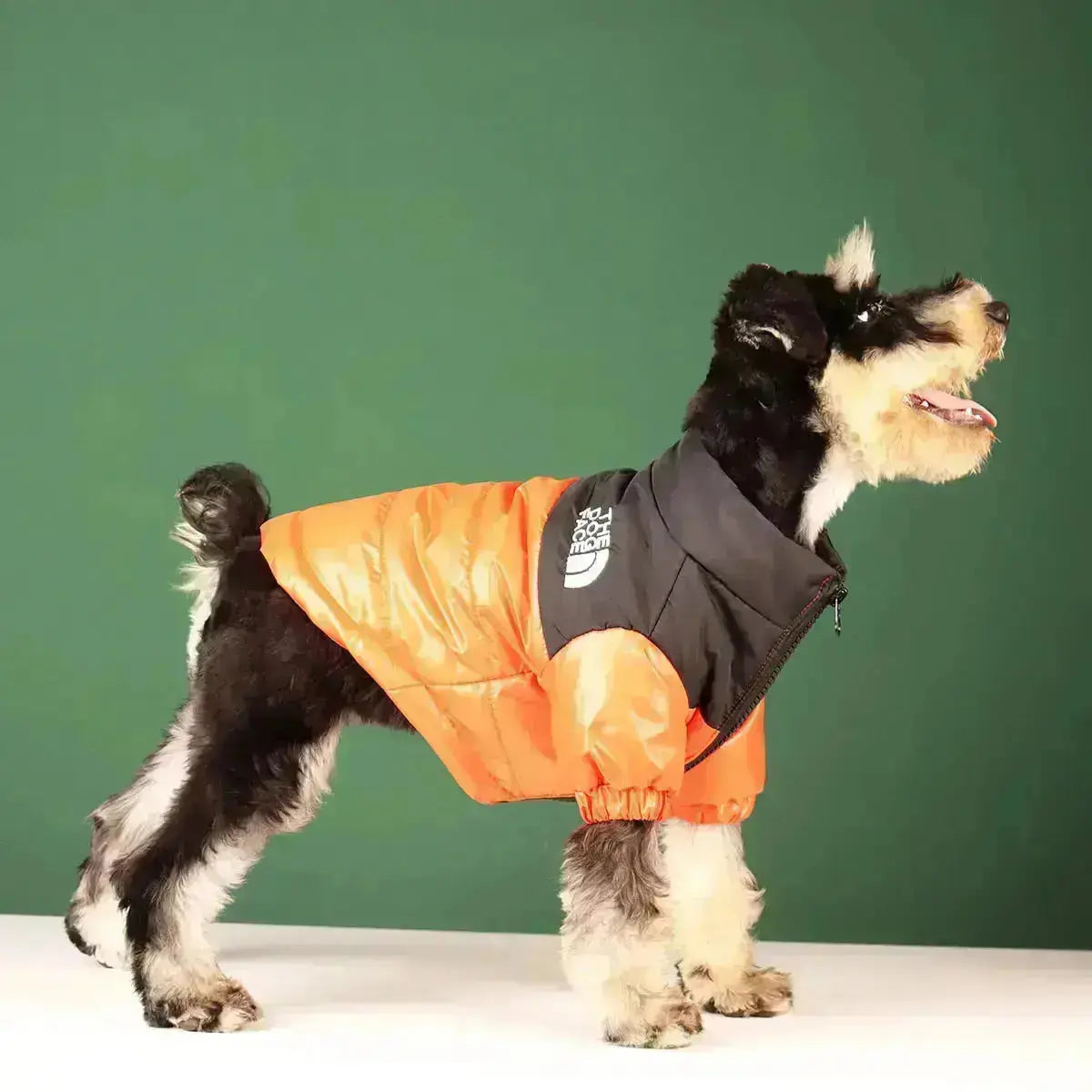 Insulated Windproof Dog Winter Coat with Soft Fleece Lining for Cold Weather Protection, Outdoor Walks & Active Play | Thomler