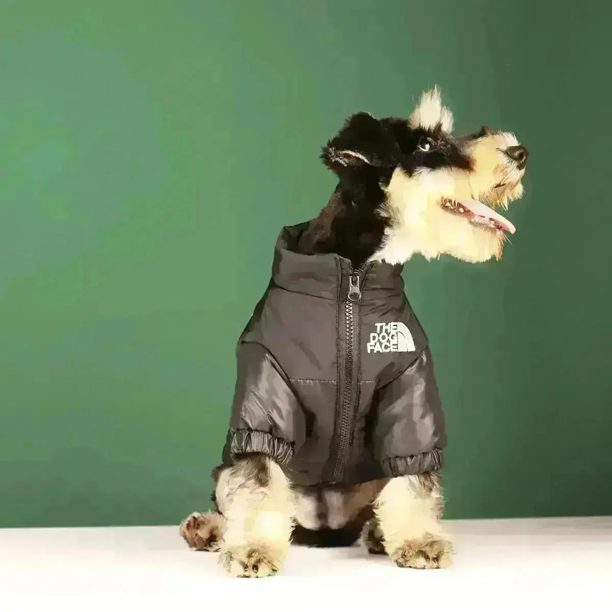 Insulated Windproof Dog Winter Coat with Soft Fleece Lining for Cold Weather Protection, Outdoor Walks & Active Play | Thomler
