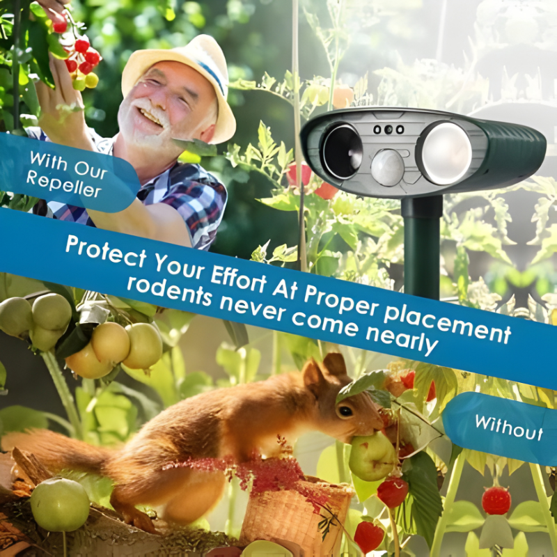 Solar Animal Deterrent Device for Yards Lawns Gardens with Motion Sensor Infrared Detection Waterproof Outdoor Pest Control for Squirrels Ra | Thomler