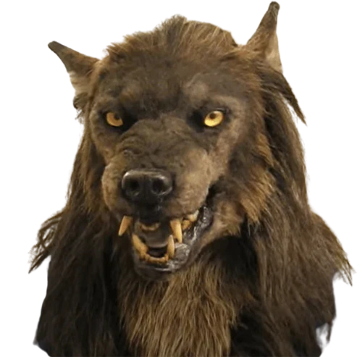Lifelike Werewolf Mask with Faux Fur for Adults | Full Head Silicone Wolf Costume Mask | Halloween Party, Cosplay & Costume Events | Thomler