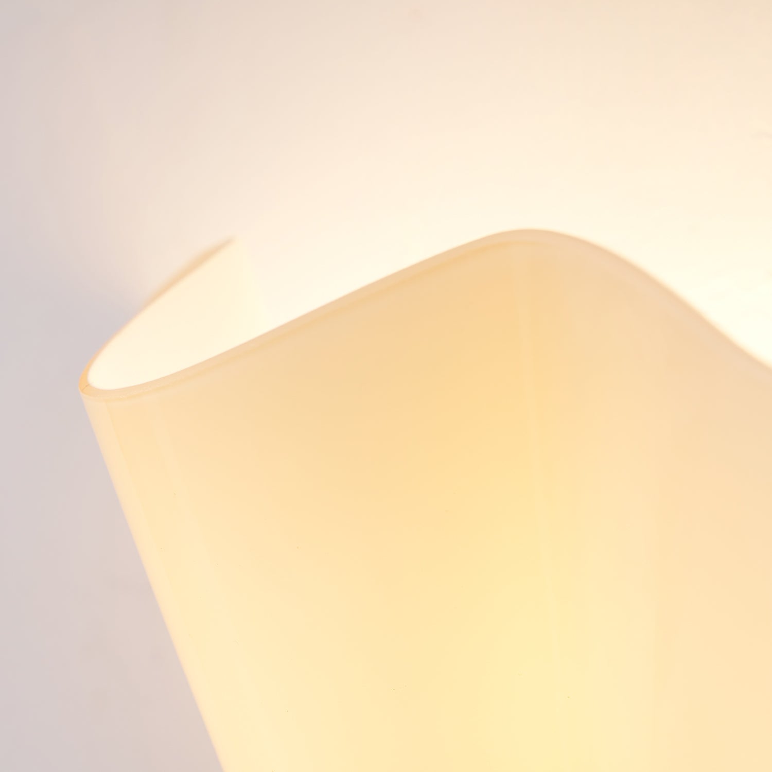 Wall Lamp Glass 11 in Hand Blown Petal Shade Bedroom Hallway Decorative Sconce Lighting Fixture | Thomler
